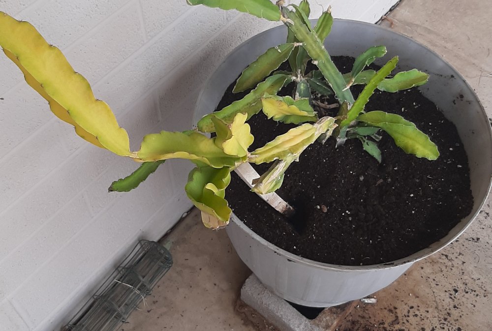 20190824_103410.jpg