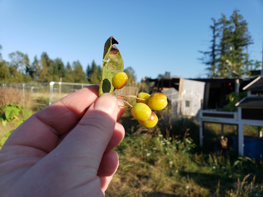 20190902_180923.jpg