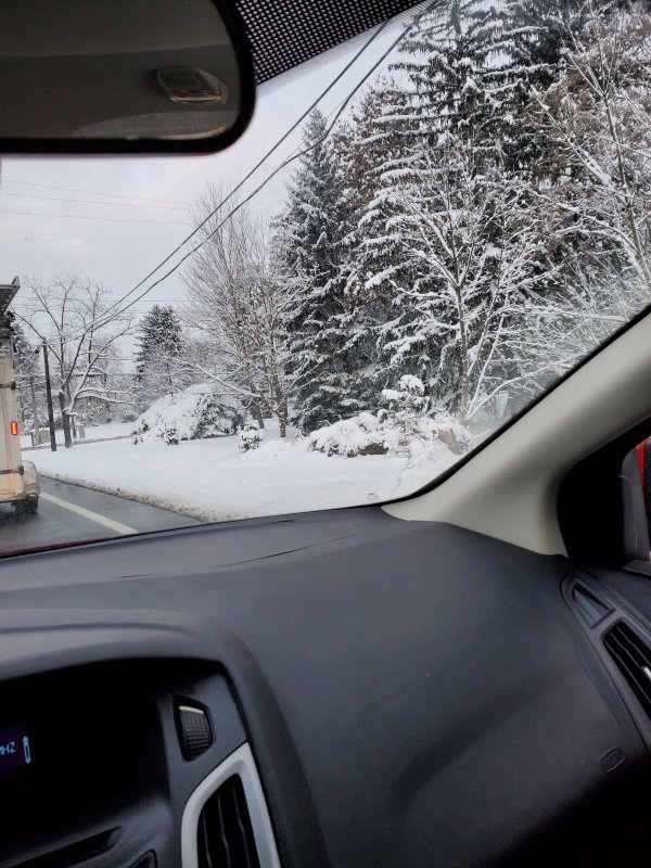 20191113_072942[1].jpg
