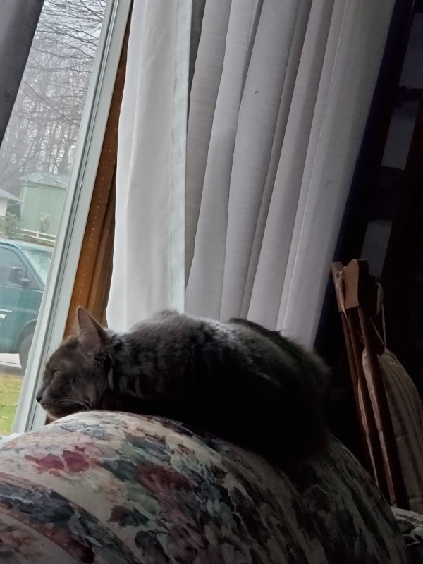 20191229_082455.jpg