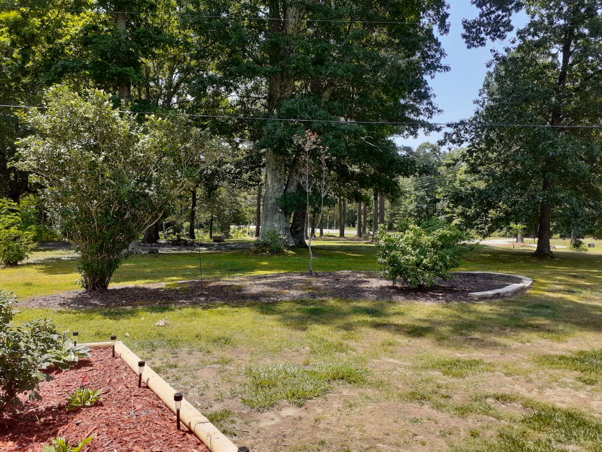 20200606_115758.jpg