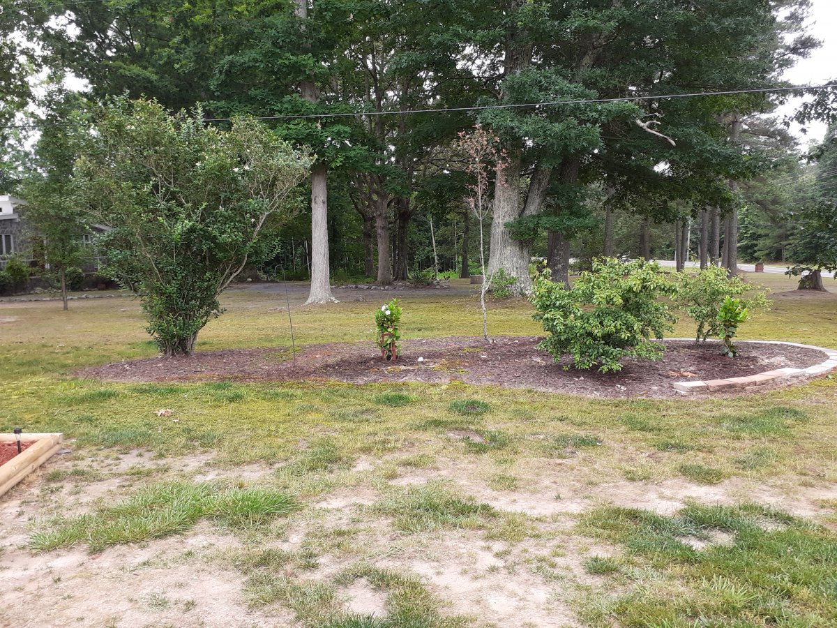 20200610_083529.jpg
