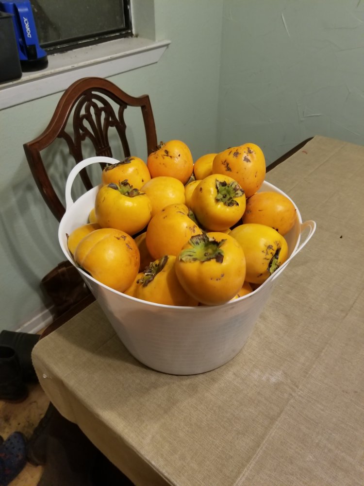 20201008_210026.jpg