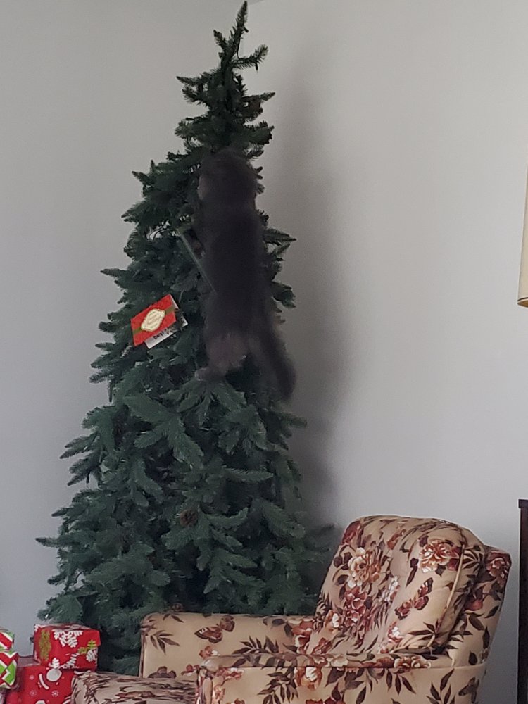 20201214_122017.jpg