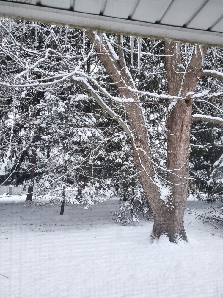 20201218_074357.jpg