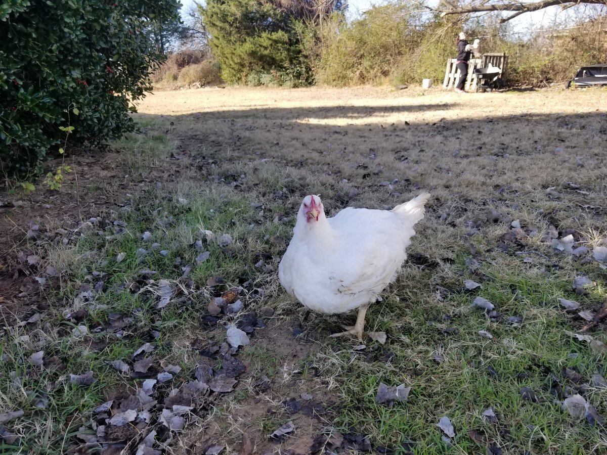 20201220_102702.jpg