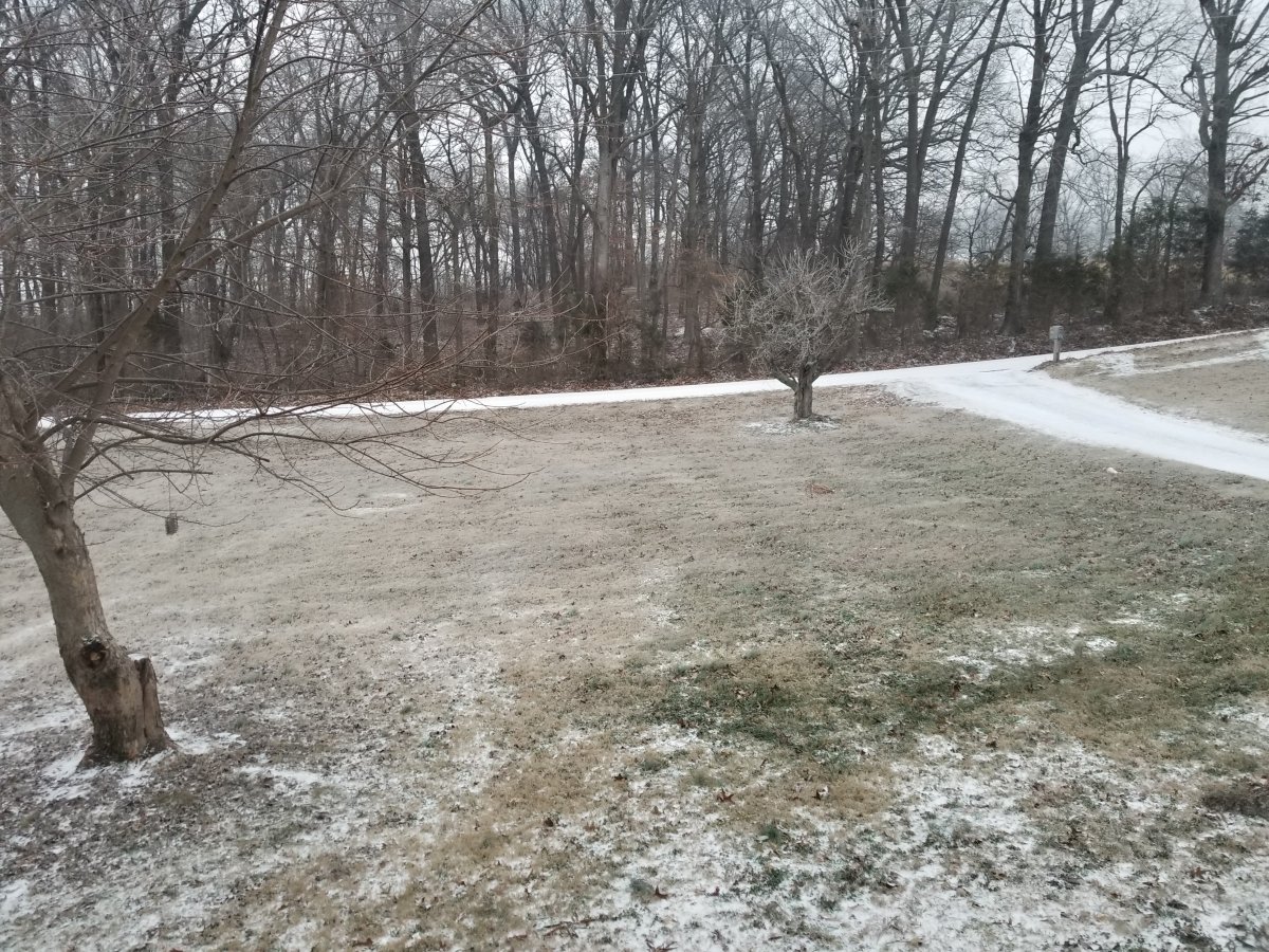 20210215_070547.jpg