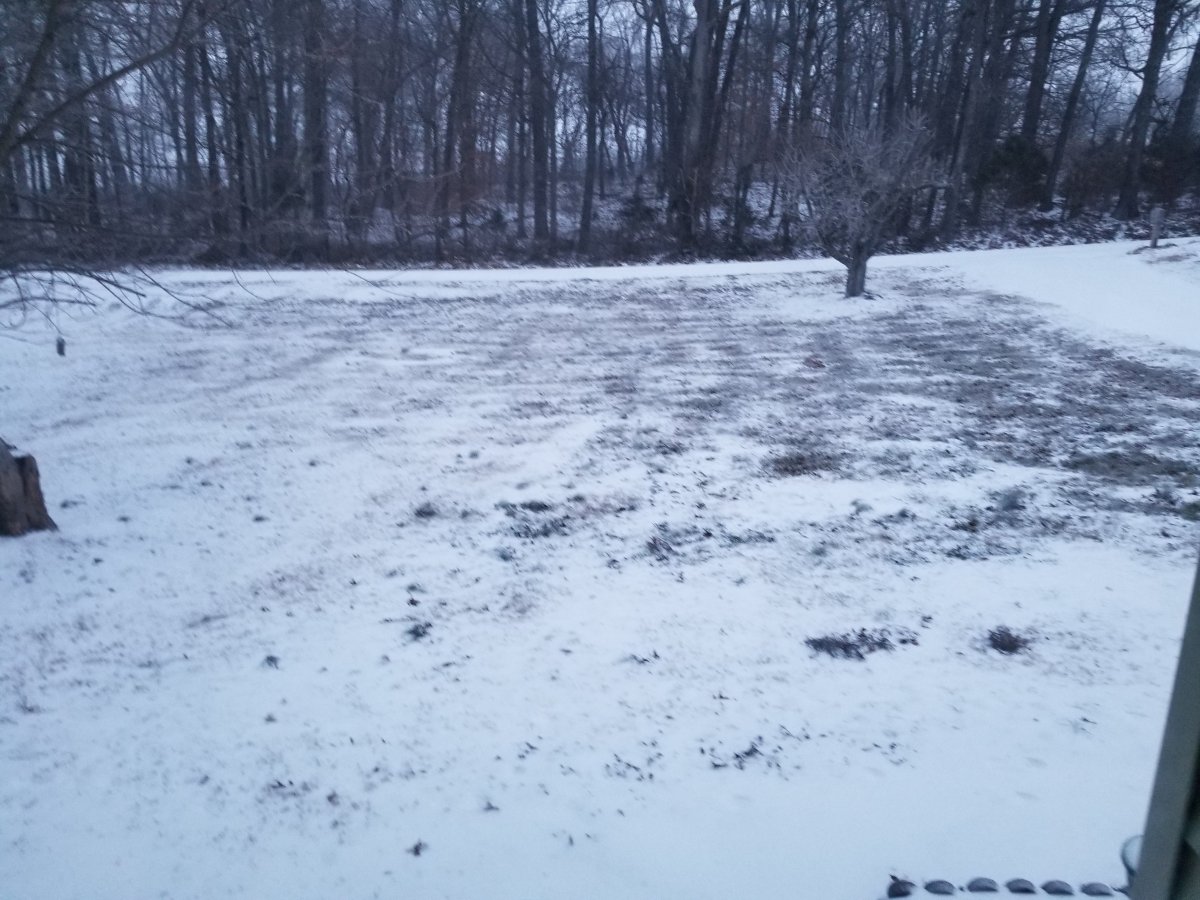 20210215_172421.jpg