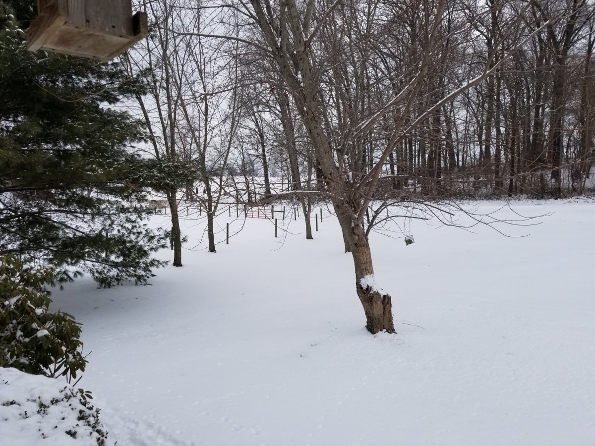 20210218_150101.jpg