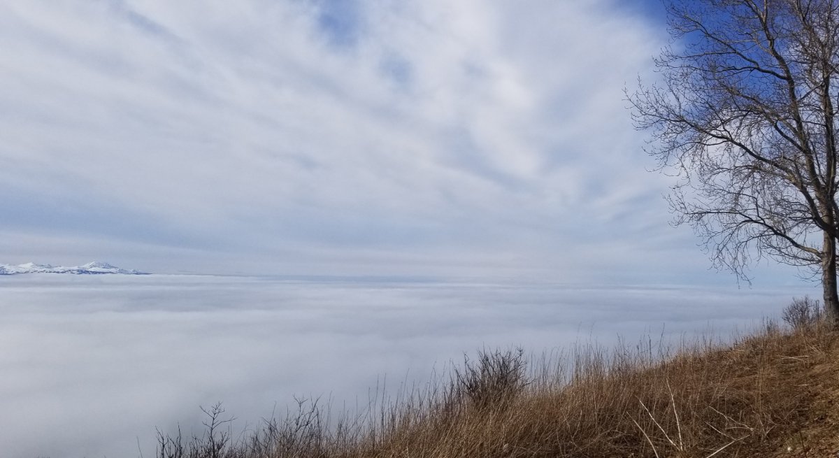 20210421_122735.jpg