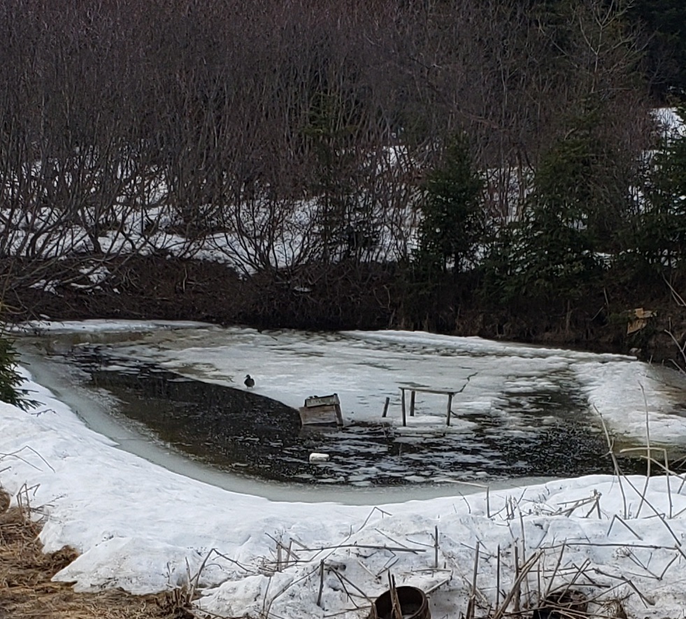 20210507_100716.jpg