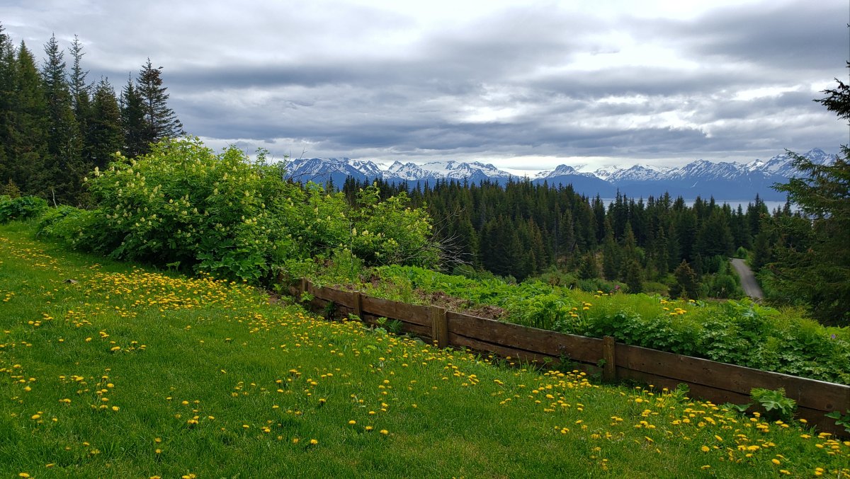 20210617_141623.jpg