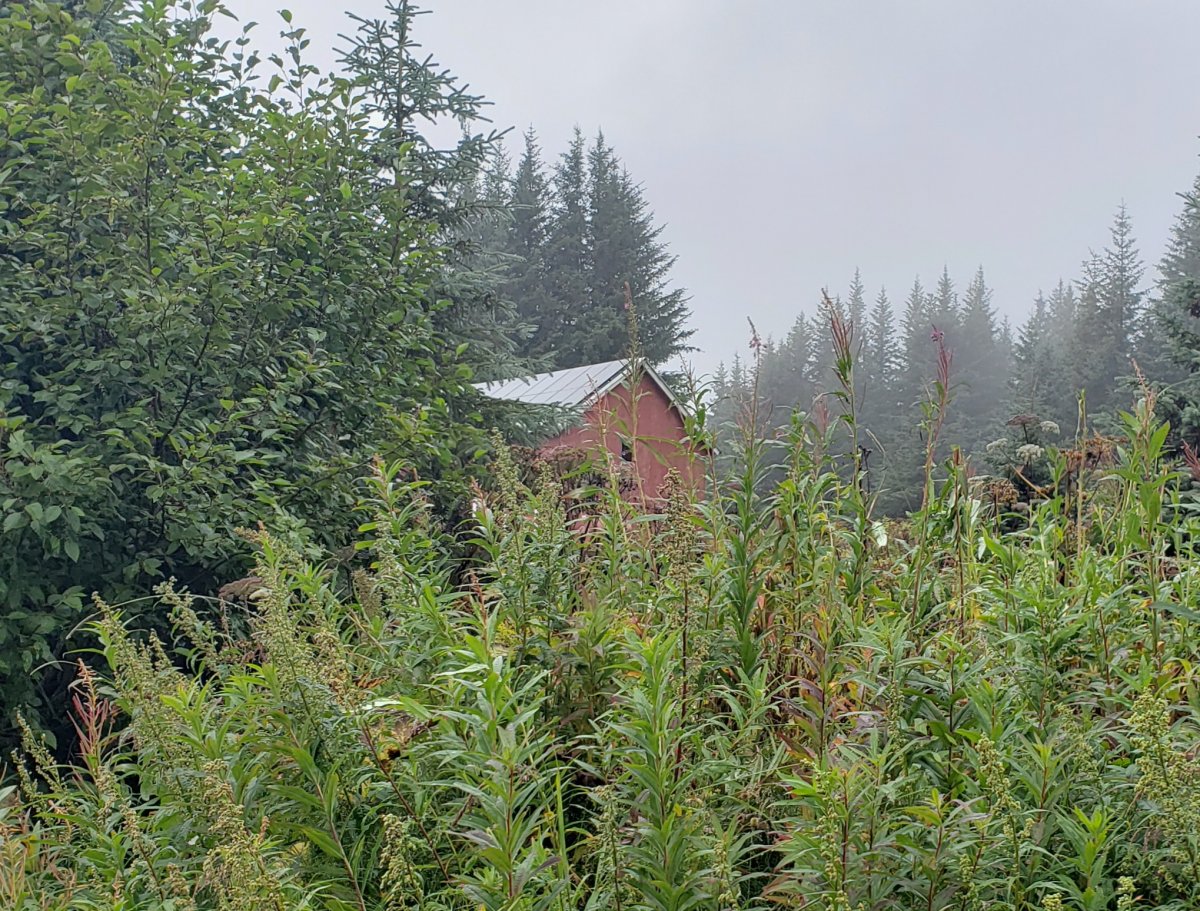 20210902_154449.jpg