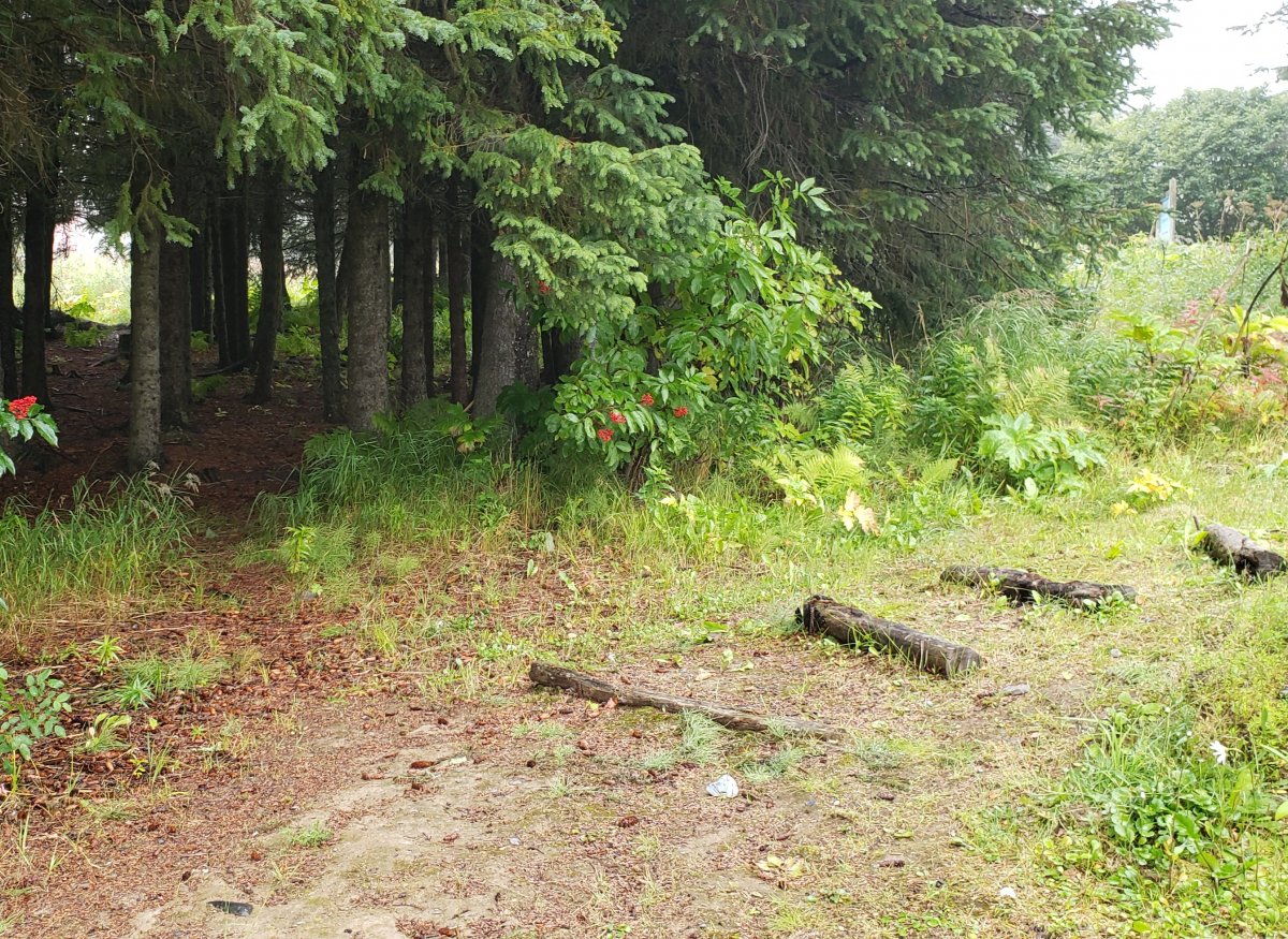 20210902_154650.jpg