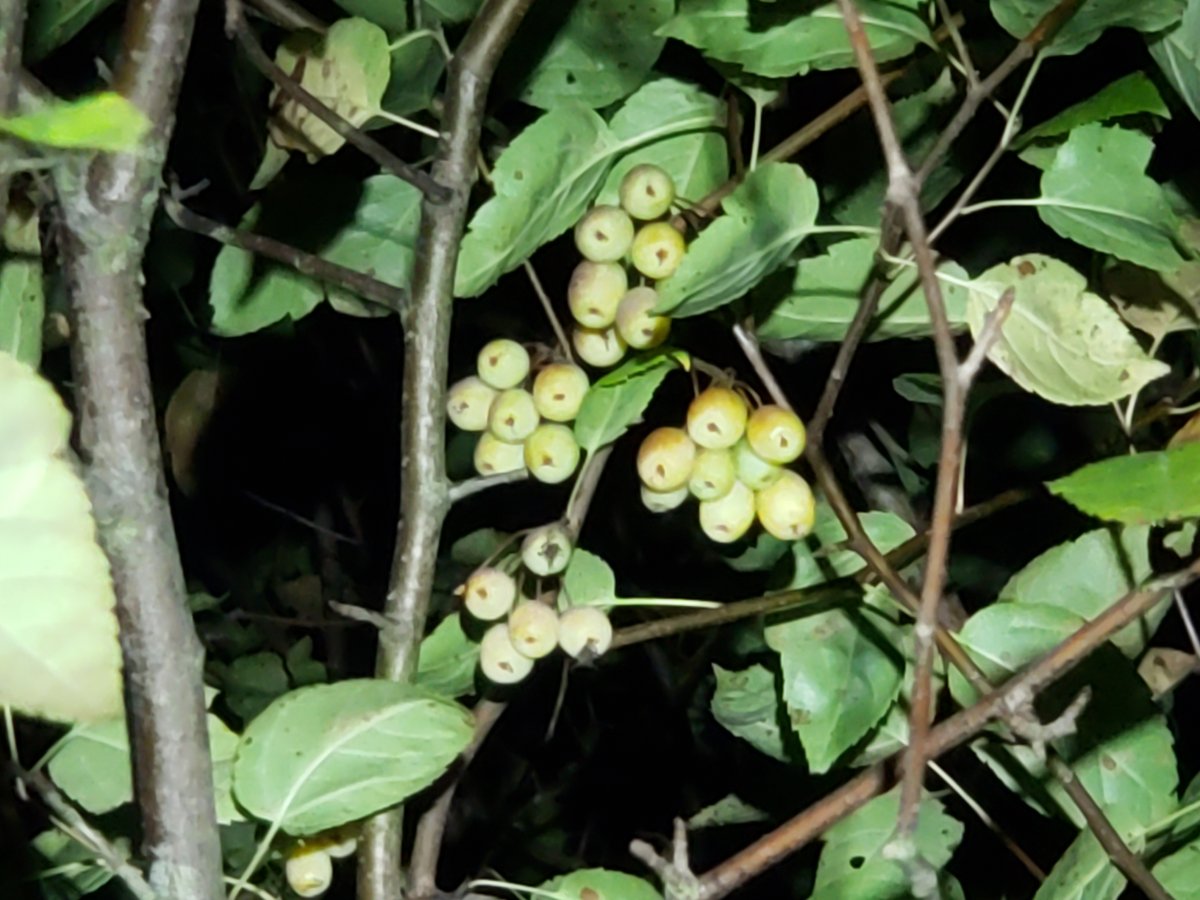 20210911_212853.jpg
