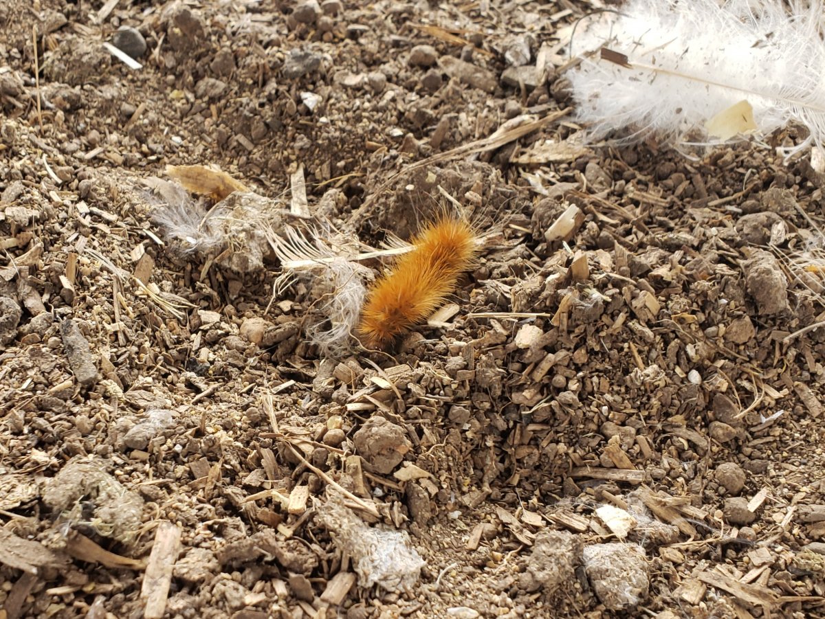 20210914_141143.jpg