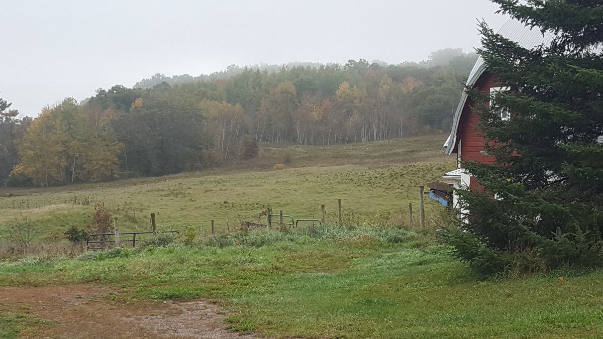 20211005_104410.jpg