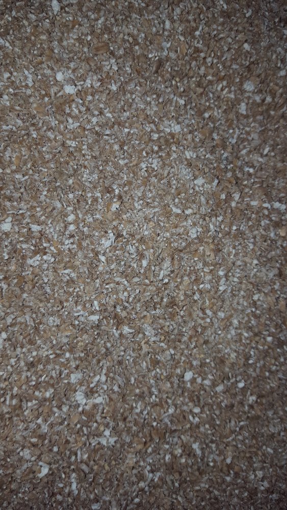 20211023_140544.jpg