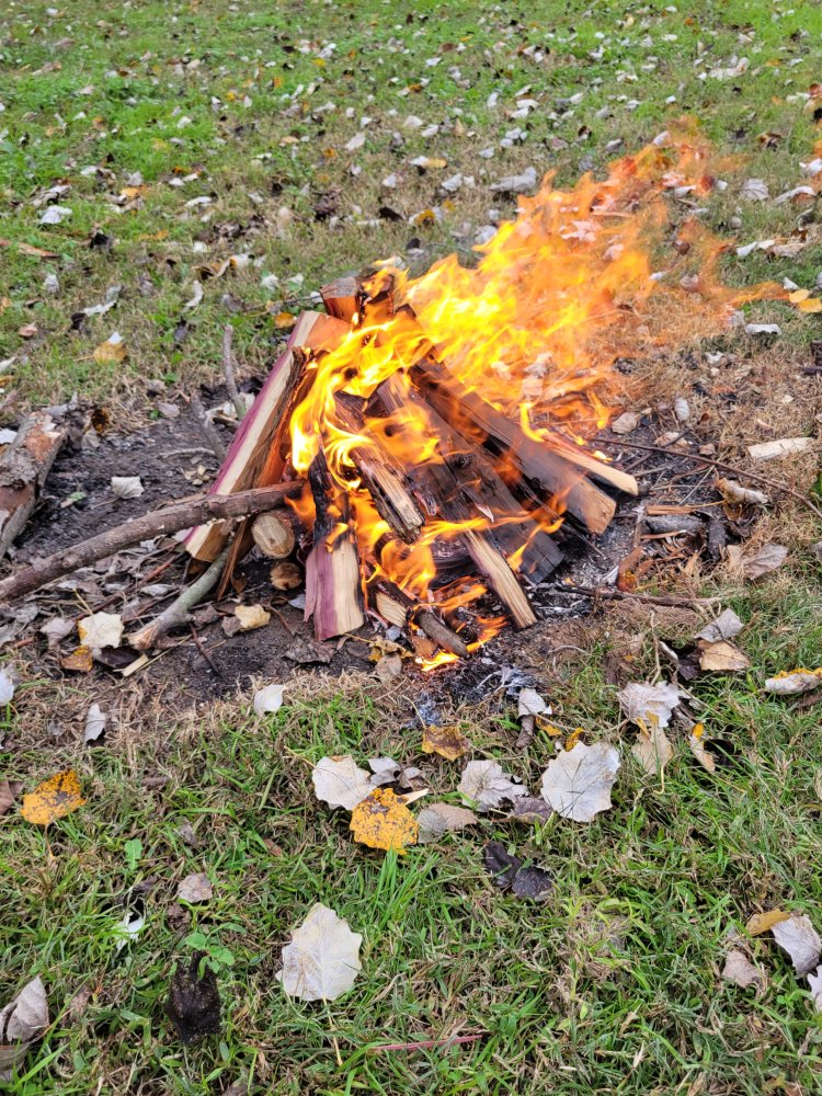 20211110_120335.jpg