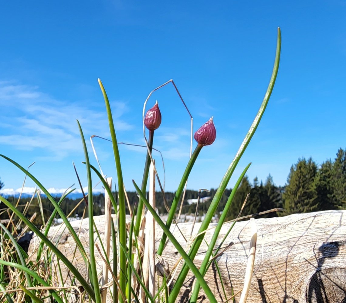 20220516_102155.jpg