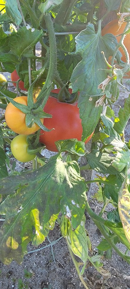 20220620_185032.jpg