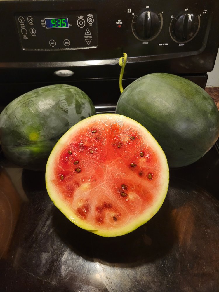 20220710_213446.jpg