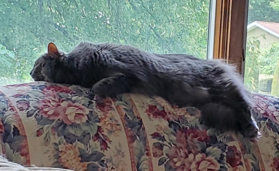 20220731_124837.jpg