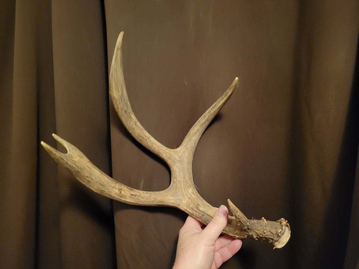 20220913_201037.jpg