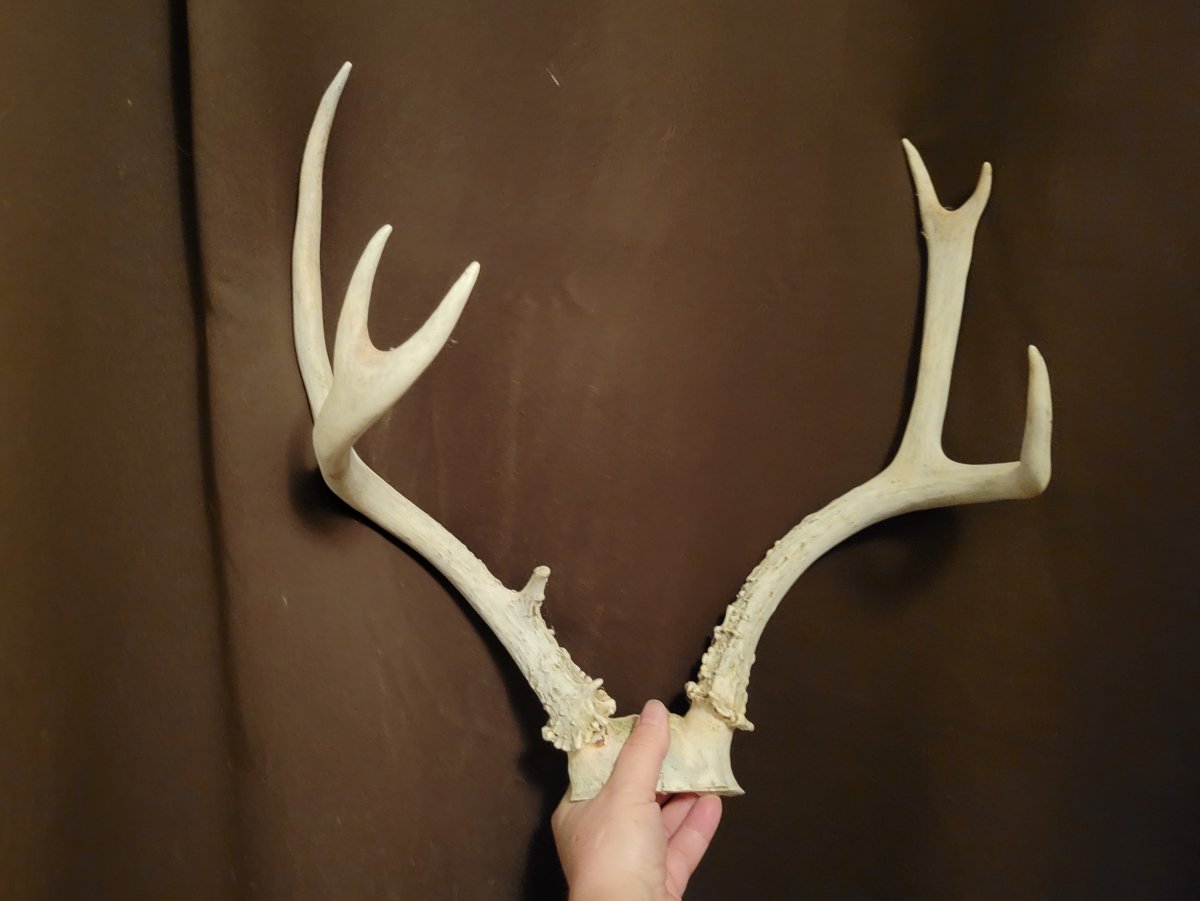 20220913_201153.jpg