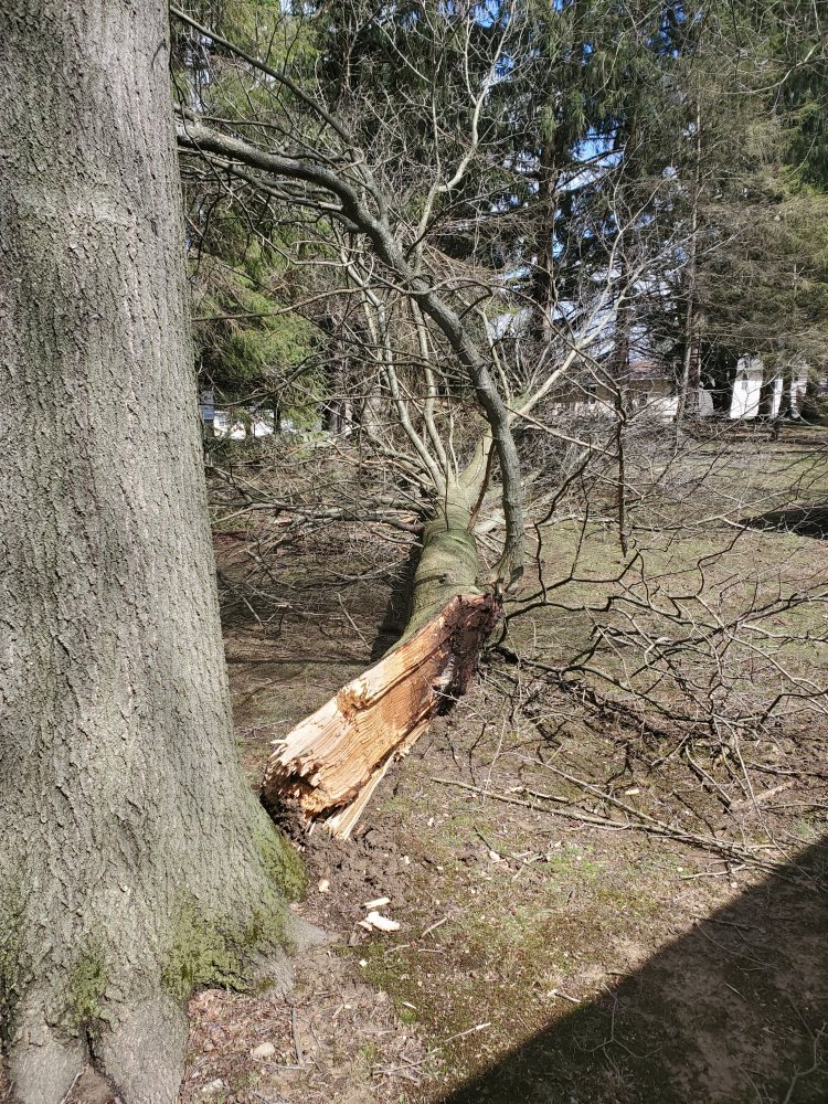 20230325_132808.jpg