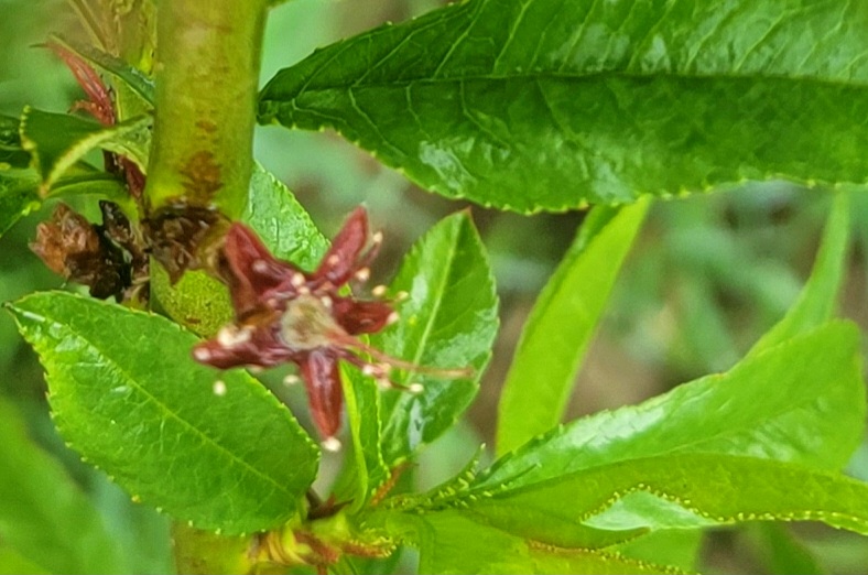 20230518_080541.jpg