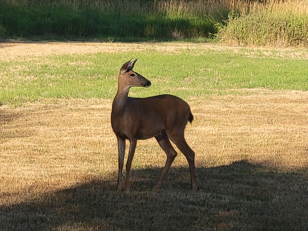 20230802_191441.jpg