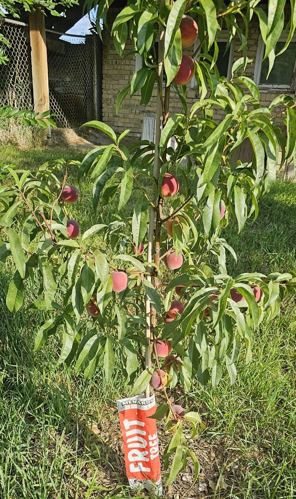 20230909_083741.jpg