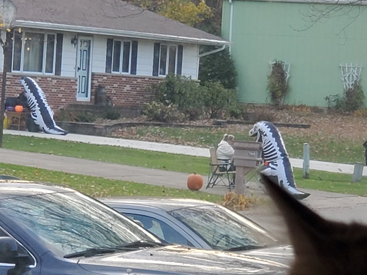 20231028_170654.jpg