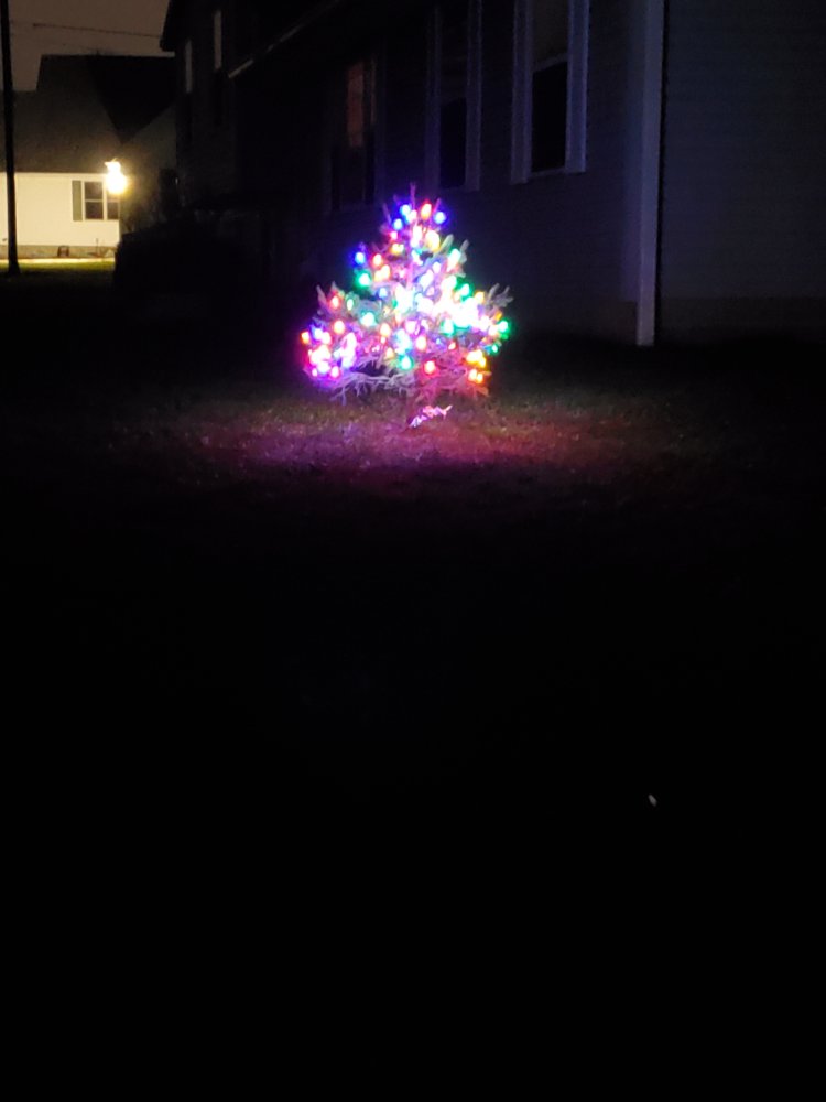 20231125_175014.jpg