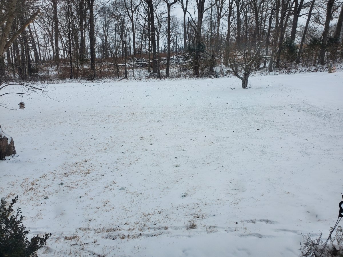 20240115_084633.jpg