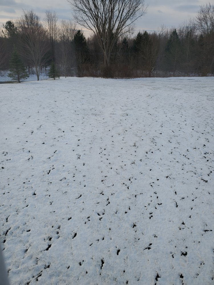 20240319_083810.jpg