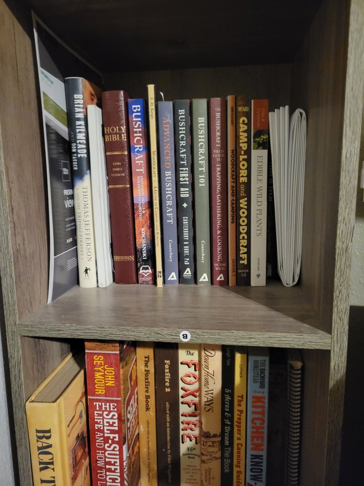 20240401_215437.jpg