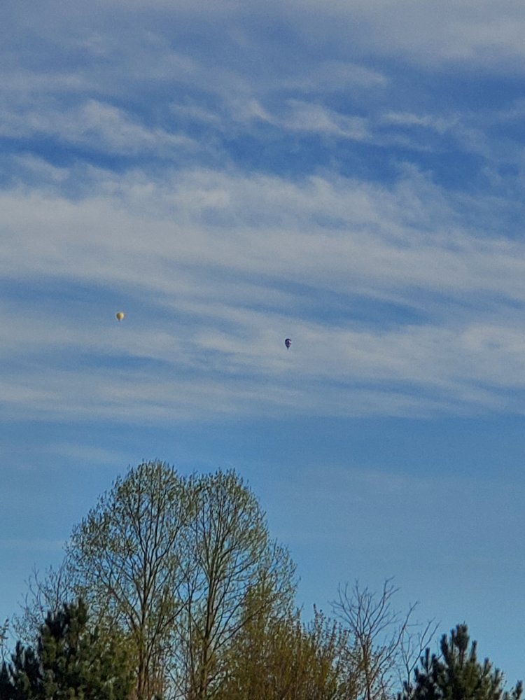 20240425_190146.jpg