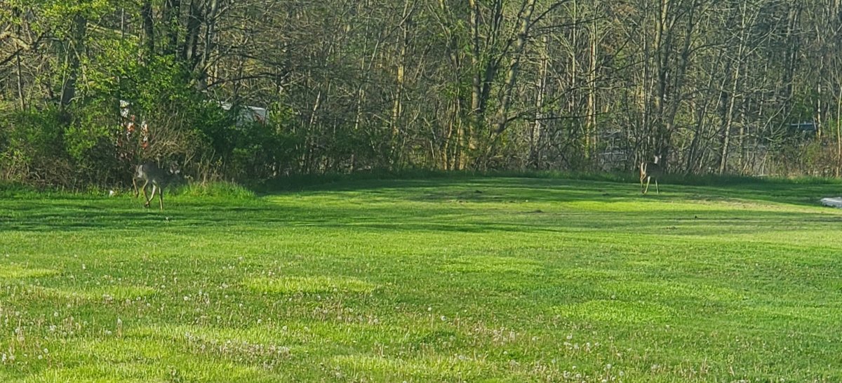 20240426_081845.jpg