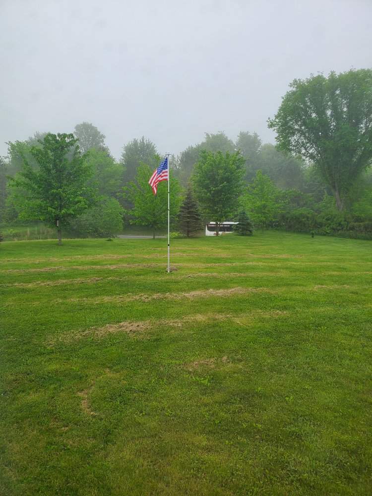 20240516_075811.jpg