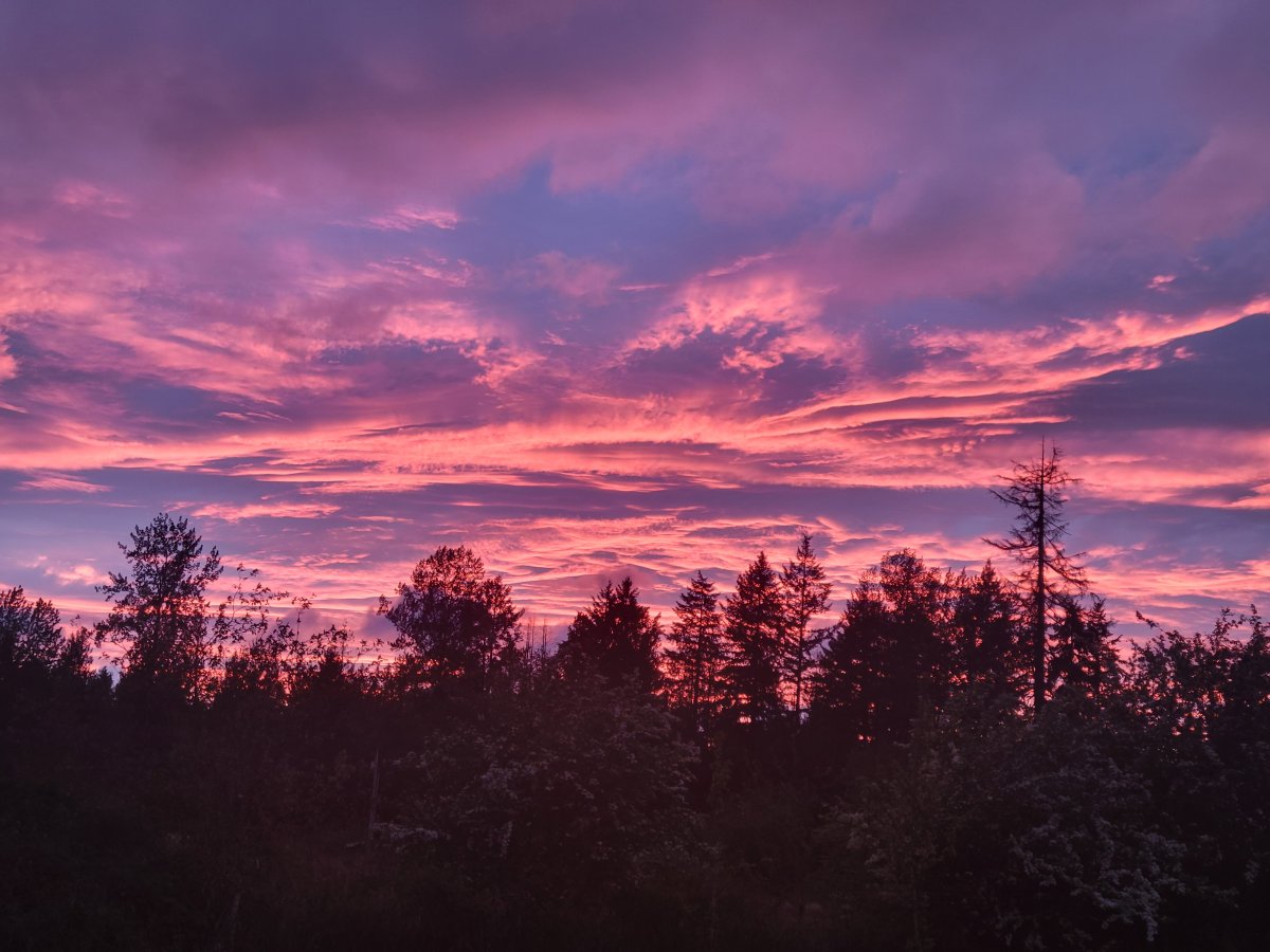 20240516_204354.jpg