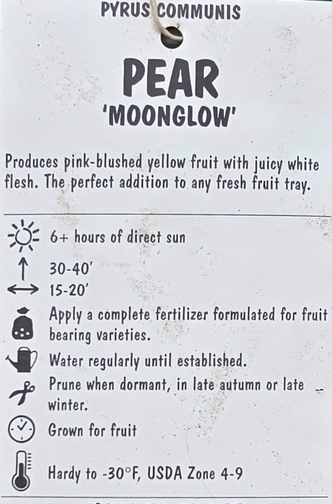 20250320_132505.jpg