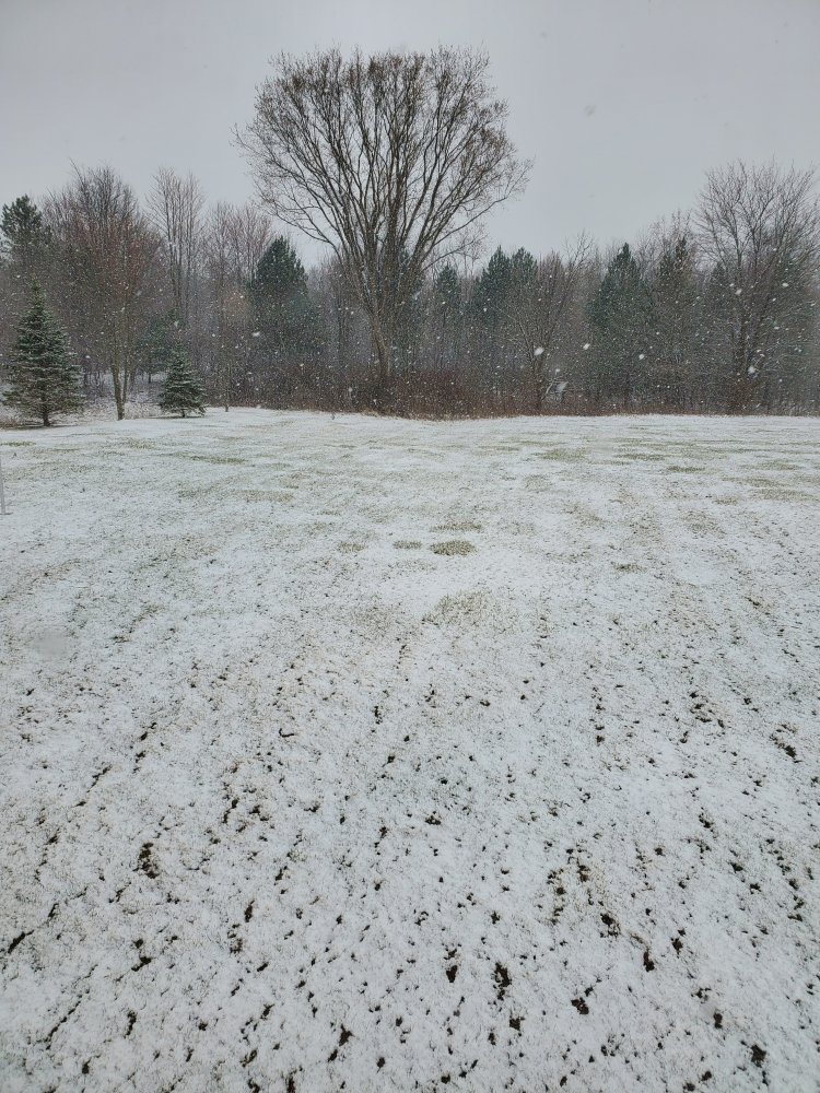 20250326_094451.jpg