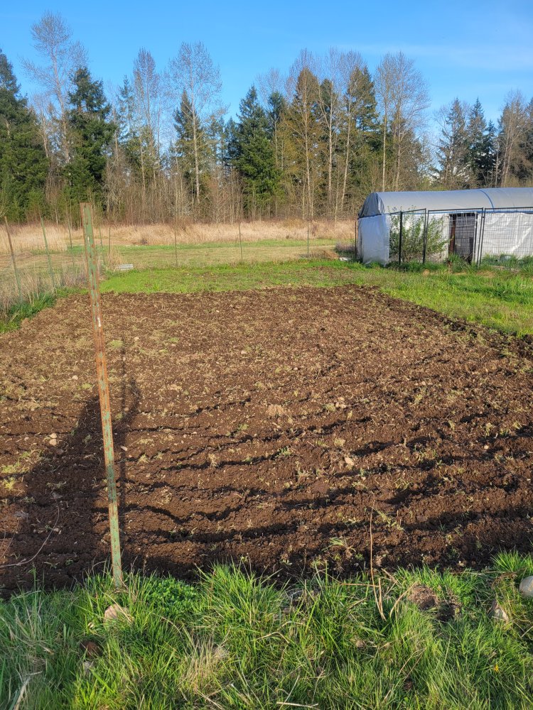20250405_180439.jpg