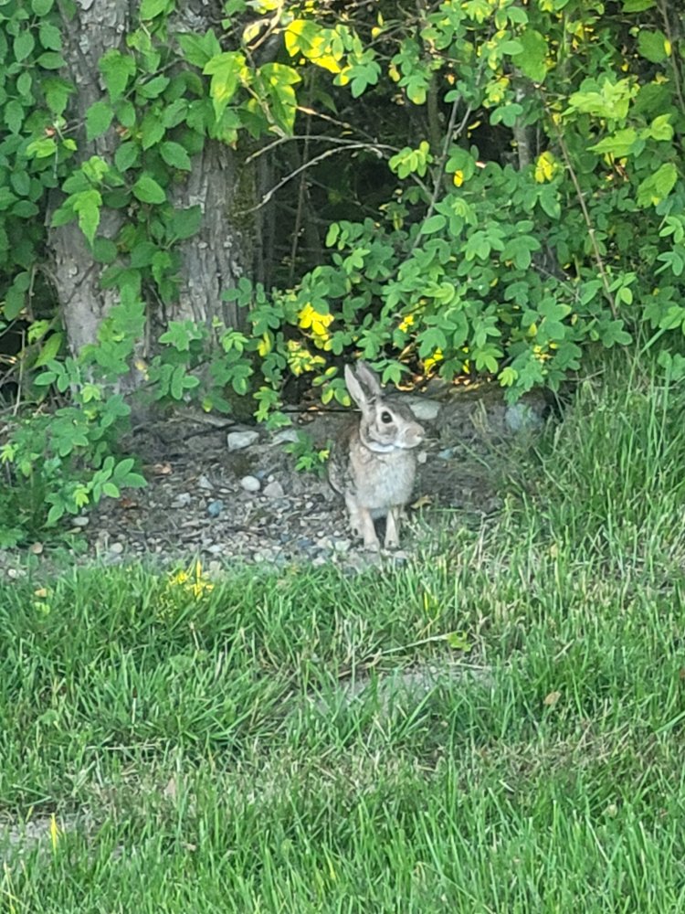 20250603_195459.jpg