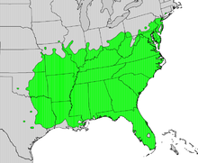 220px-Diospyros_virginiana_map.png