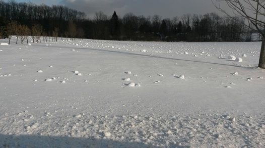 22201.jpg