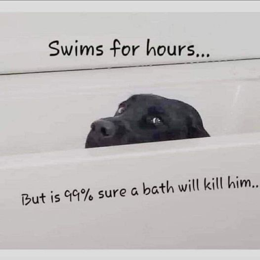 24b039c49f66169e.png