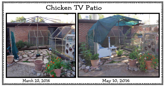 3 25 16 to 5 10 16 Patio email.JPG